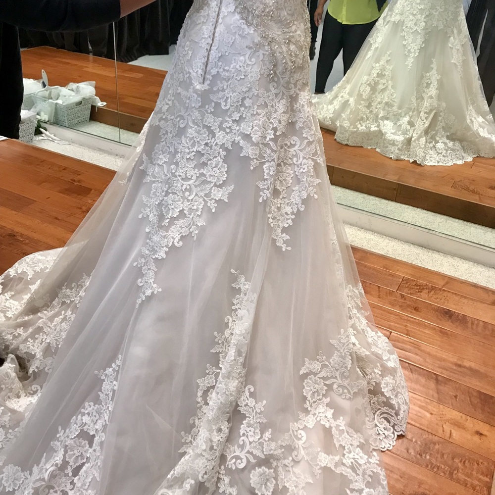 Maggie Sottero - Picture 5 of 5
